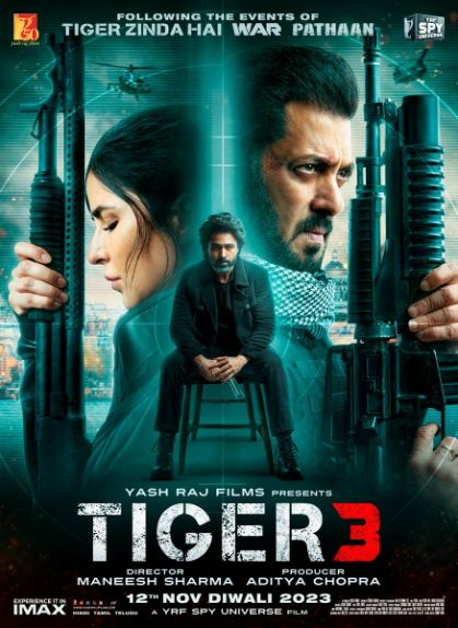 Tiger 3 movie